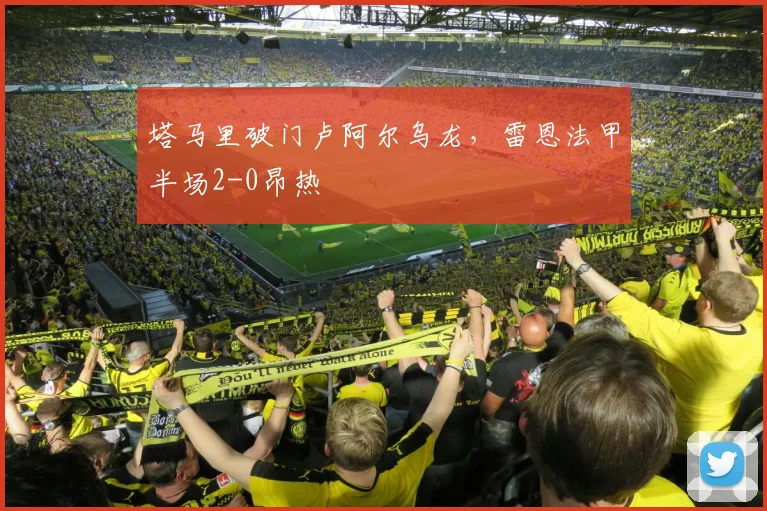 塔马里破门卢阿尔乌龙，雷恩法甲半场2-0昂热